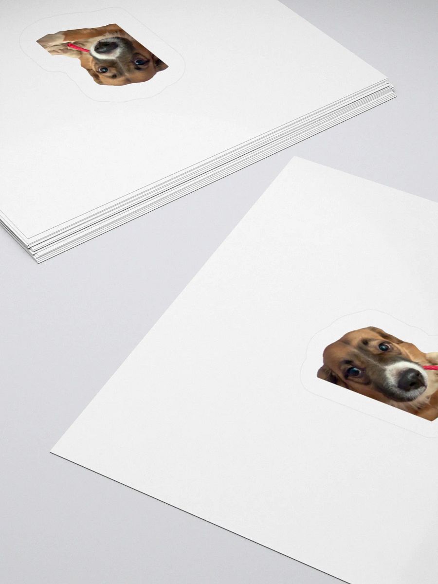 Harry Stickers - Licorice product image (10)