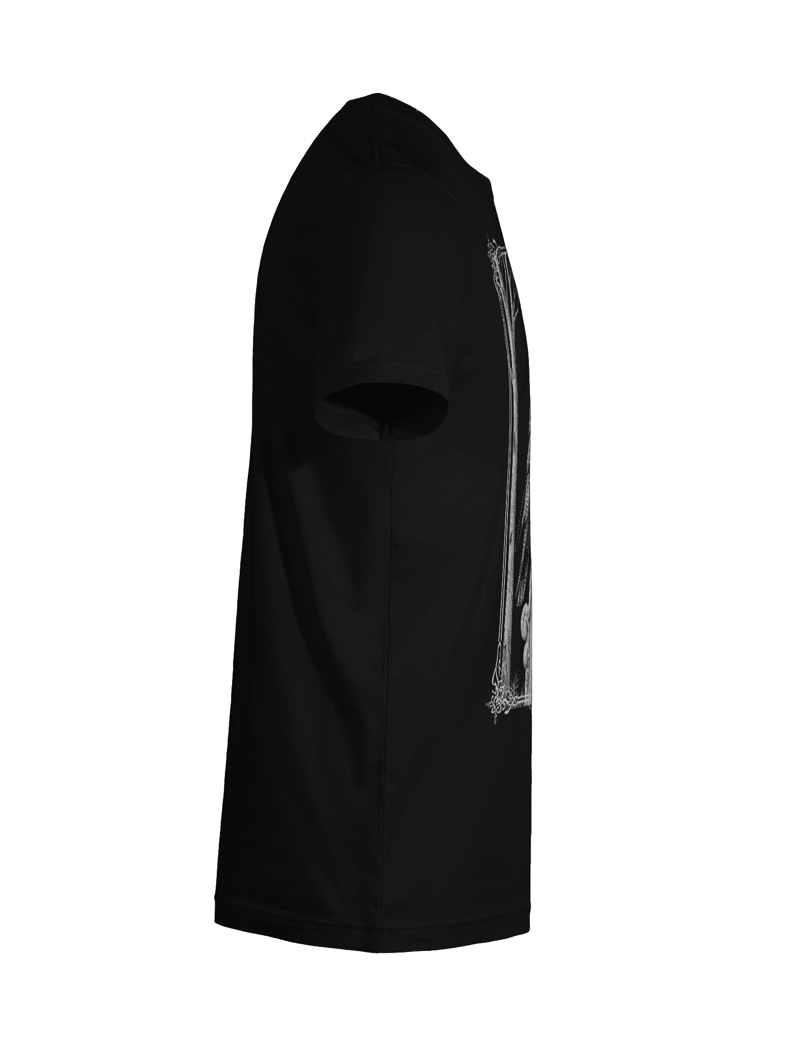 Framed Raven product image (12)