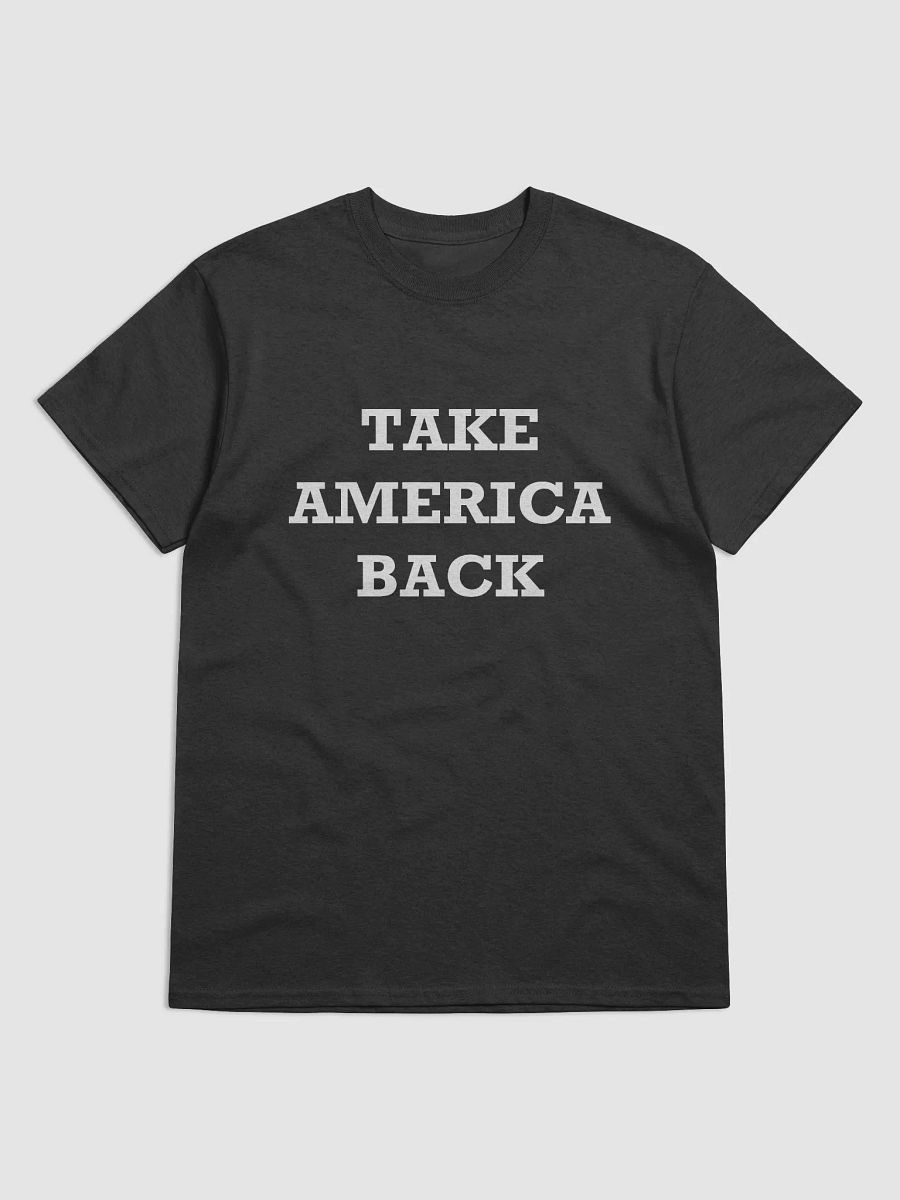 TAKE AMERICA BACK Heavyweight T-Shirt product image (1)