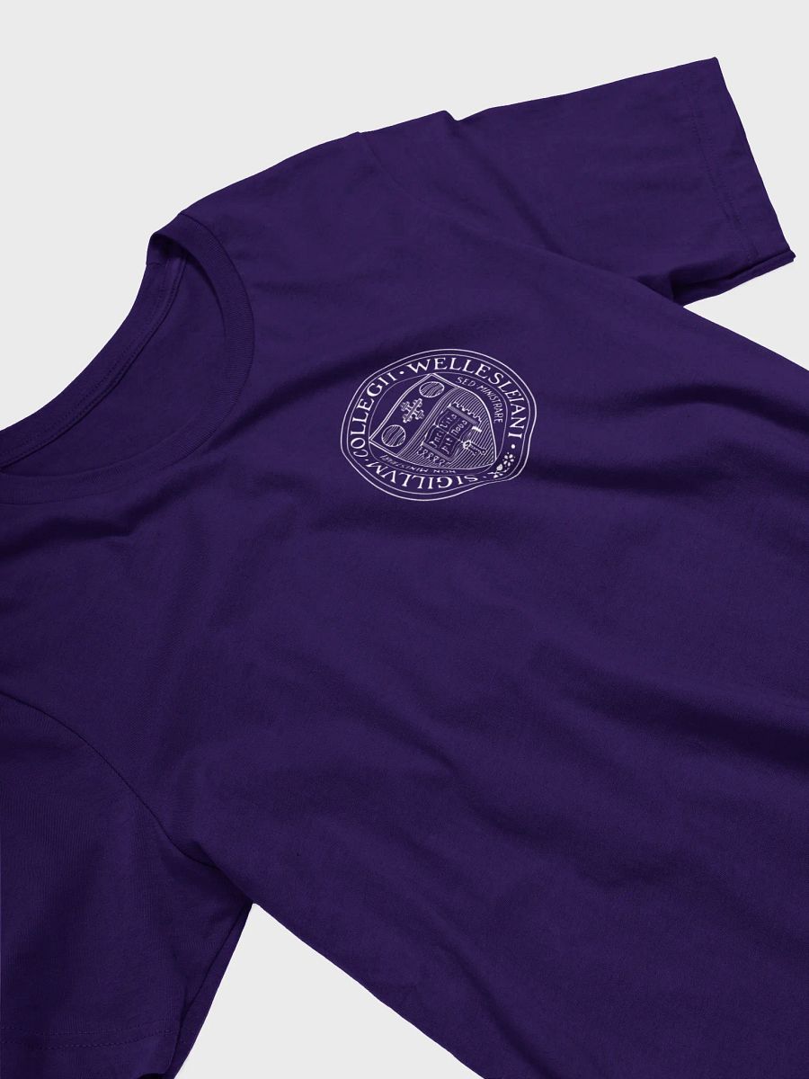 Reunion Tee with Small Wellesley College Seal product image (22)