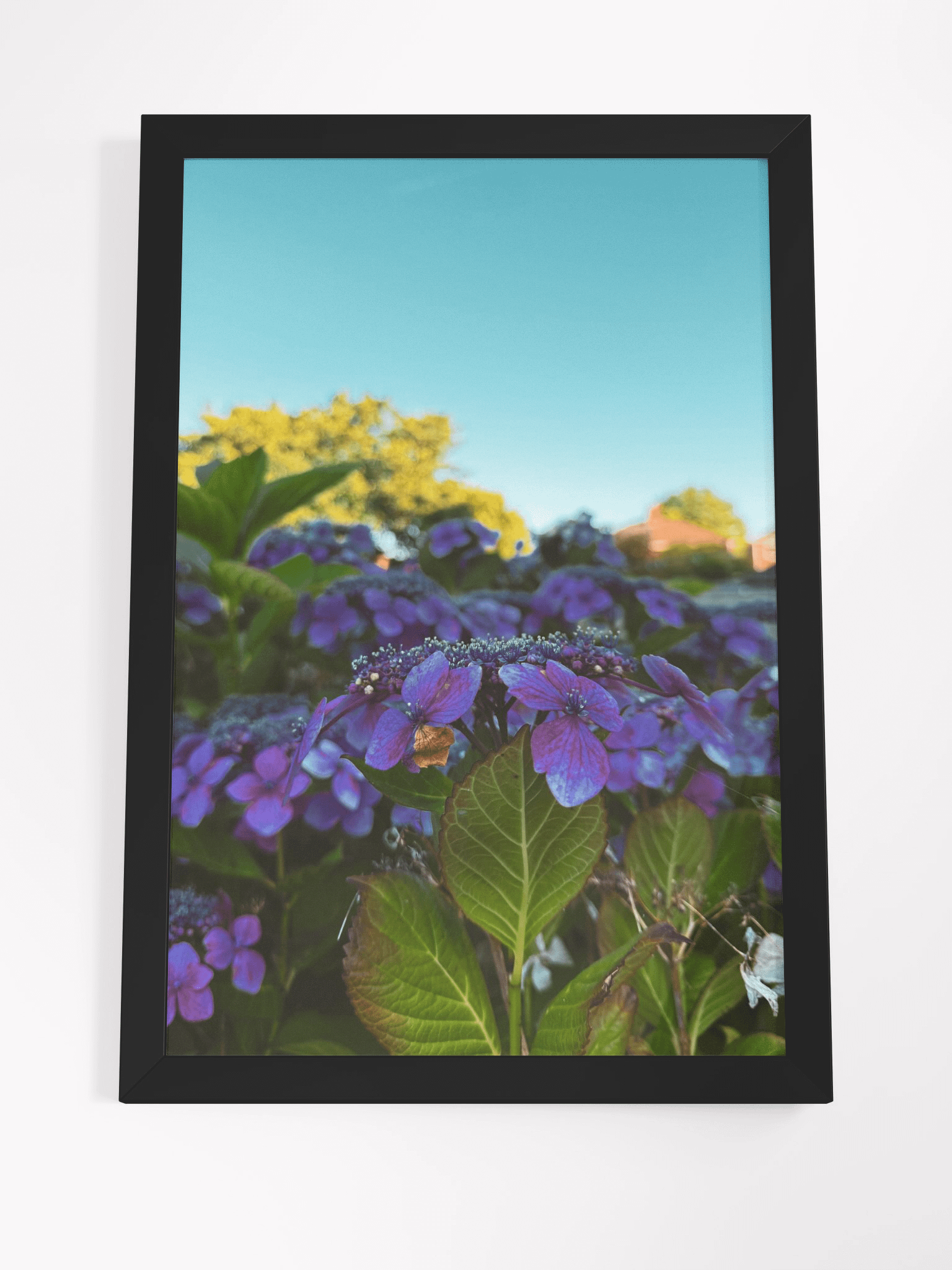 Vibrant Serenity product image (4)