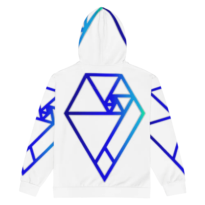 DBK reasonable hoodie product image (2)