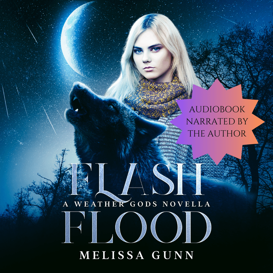 Flash Flood audiobook product image (1)