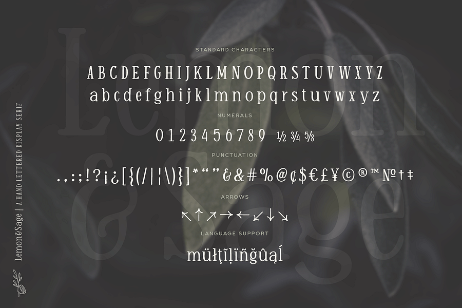 Lemon And Sage | A Handlettered Display Serif product image (5)