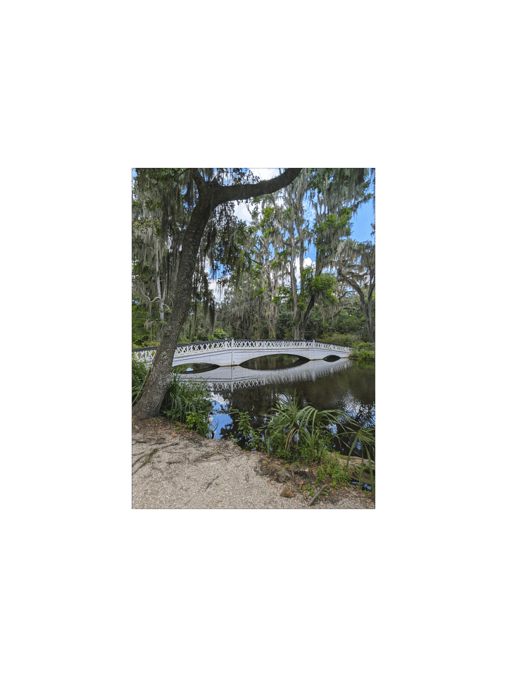Magnolia's White Bridge Poster product image (2)