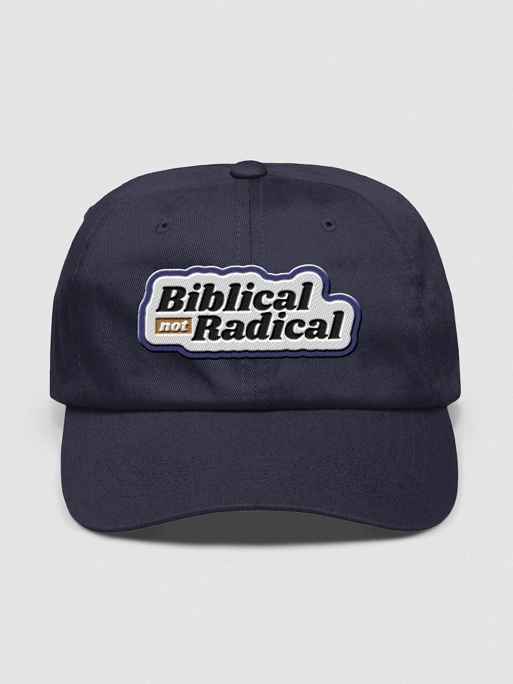 Hat: Biblical Not Radical (more colors available) product image (1)