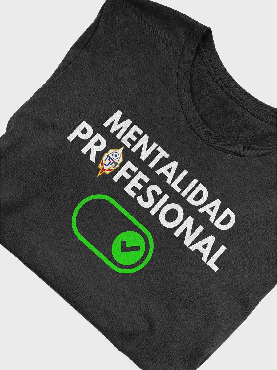Mentalidad Profesional Activada product image (5)