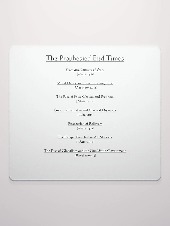 BIBLE: The Prophesied End Times product image (2)