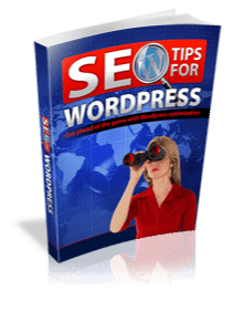 SEO Tips for Wordpress product image (1)