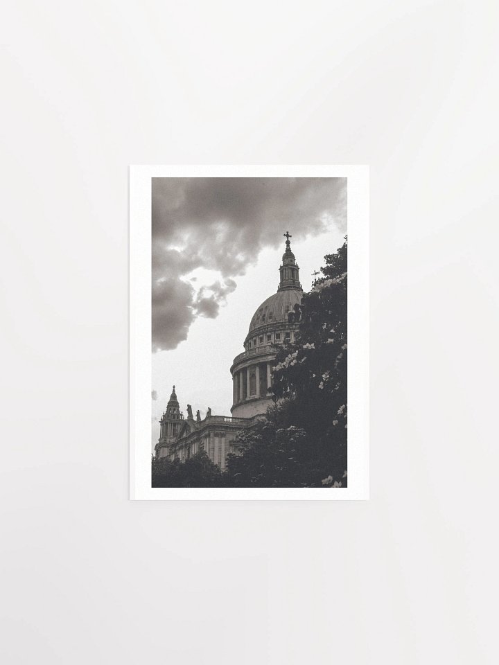Flowers of St. Paul - Black & White / Print product image (3)