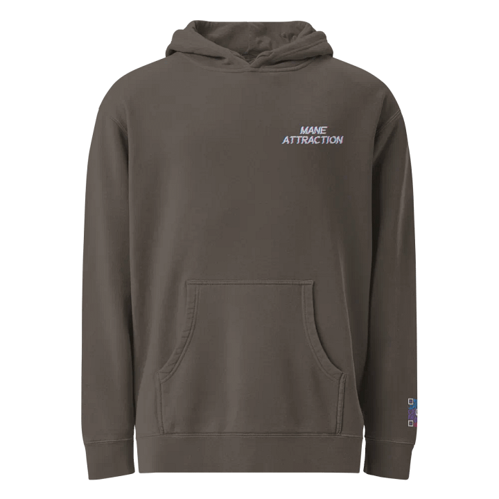 MA Embroidered Hoodie product image (1)