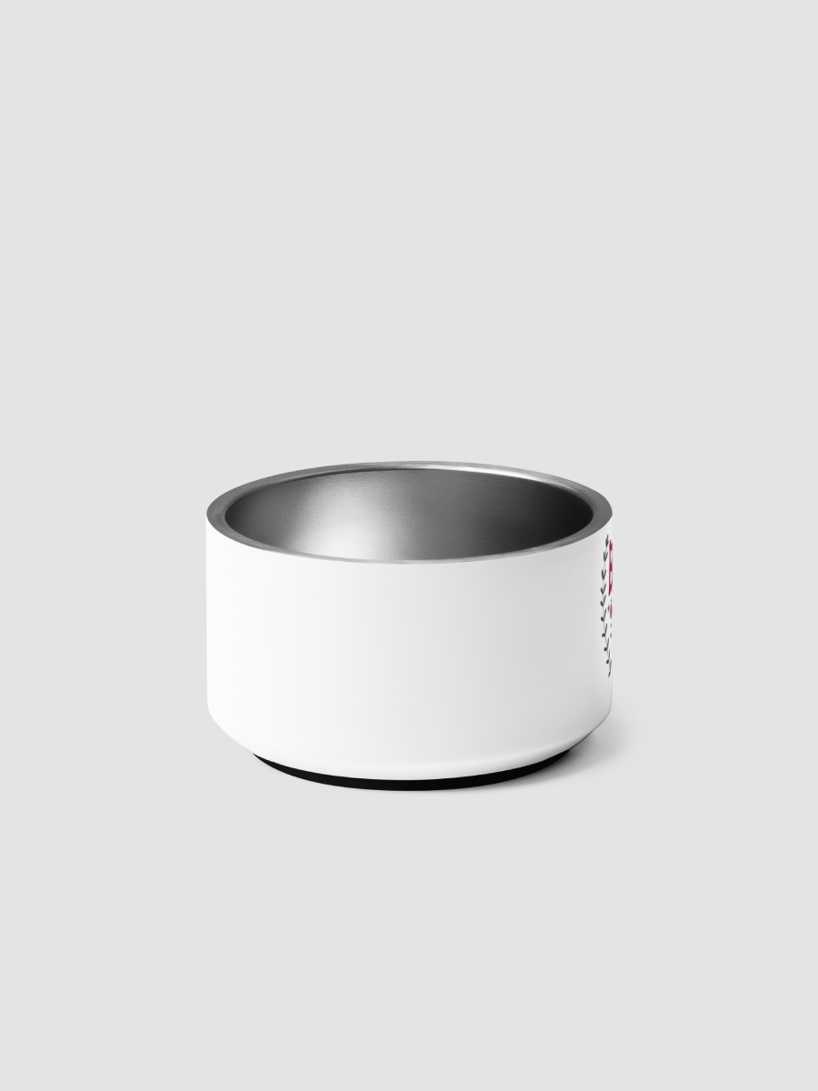Best Gift Ever Holiday Pet Bowl product image (4)