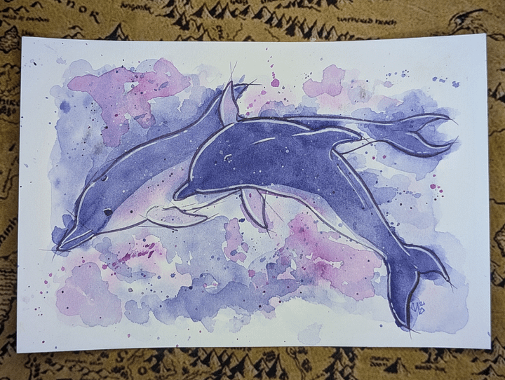 Dolphin Ink Sketch Watercolor product image (1)