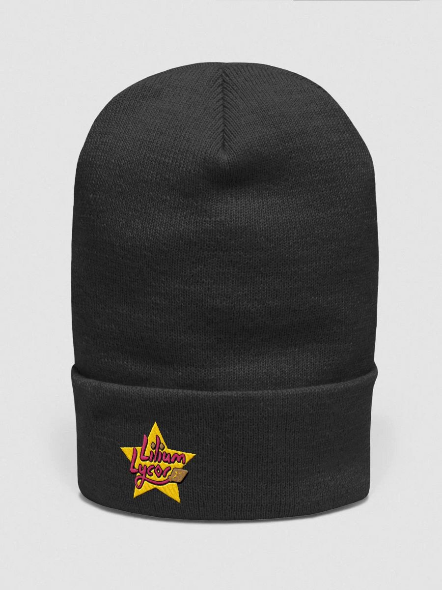 Logo Beanie product image (2)