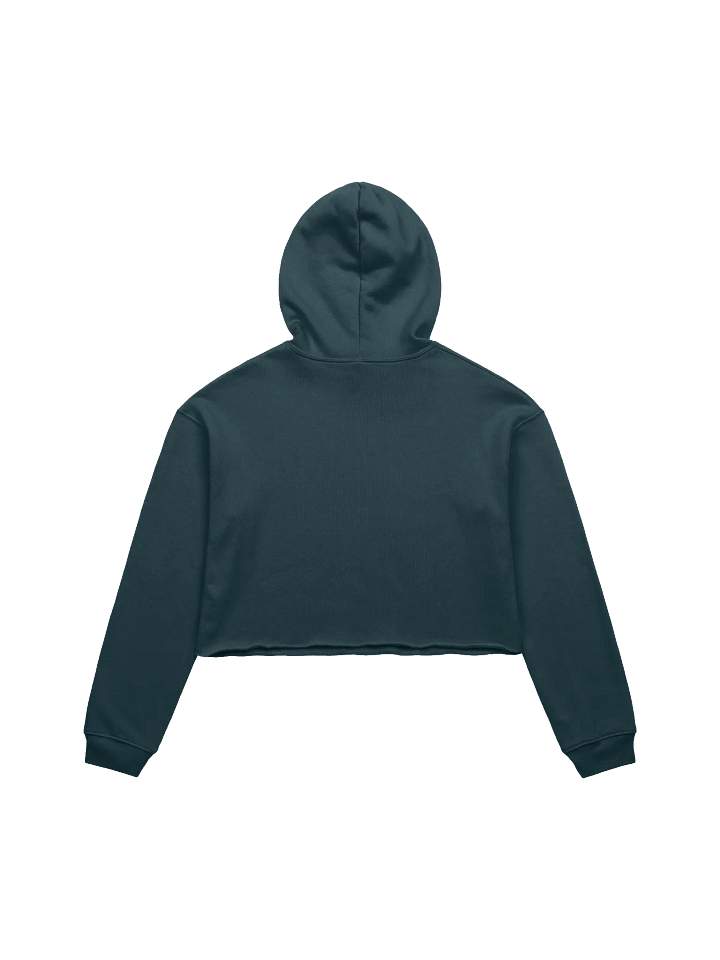 RAINBOW LOVE CROP HOODIE product image (2)