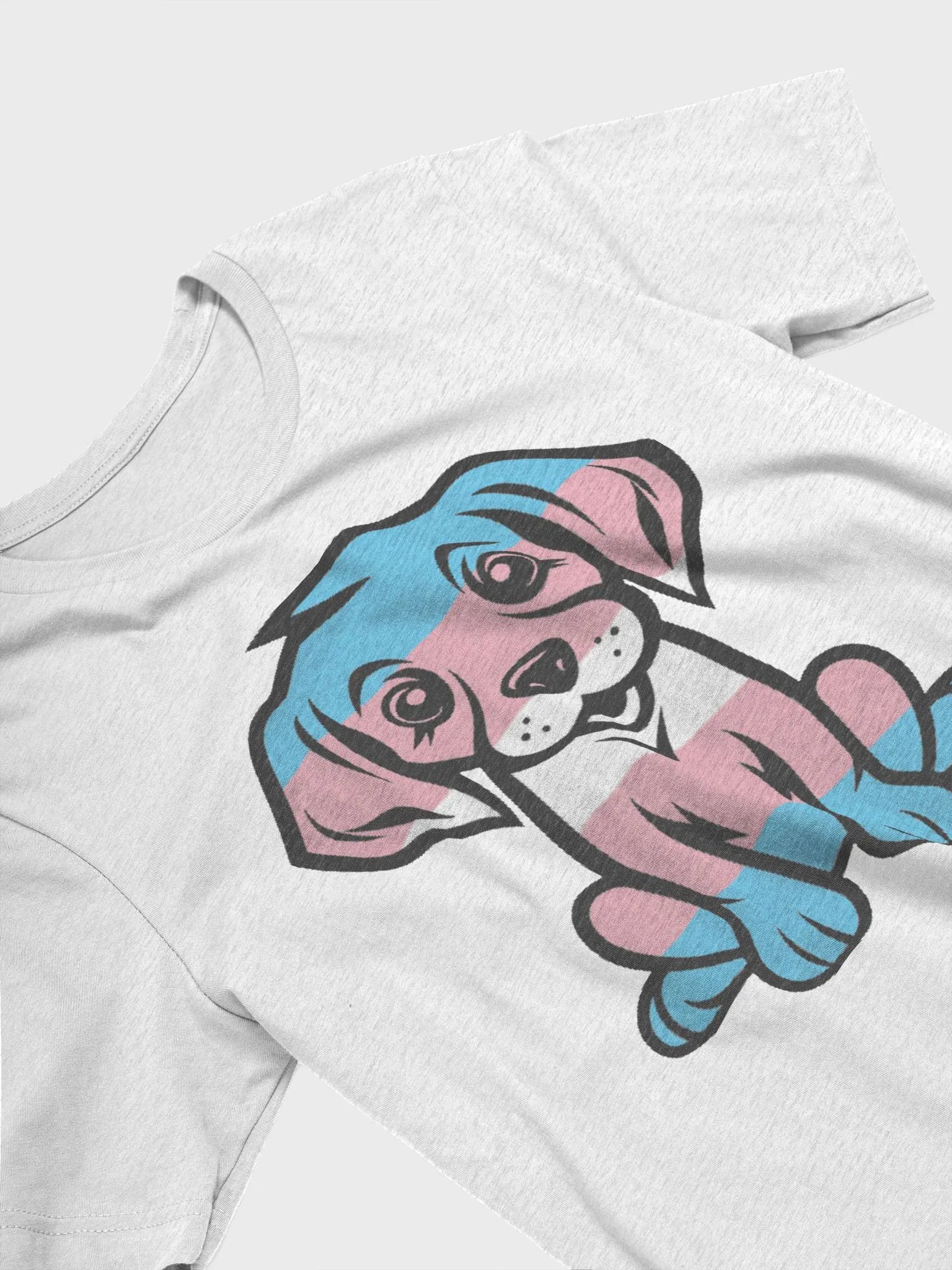 Transgender Pride Puppy Women's T-Shirt product image (33)