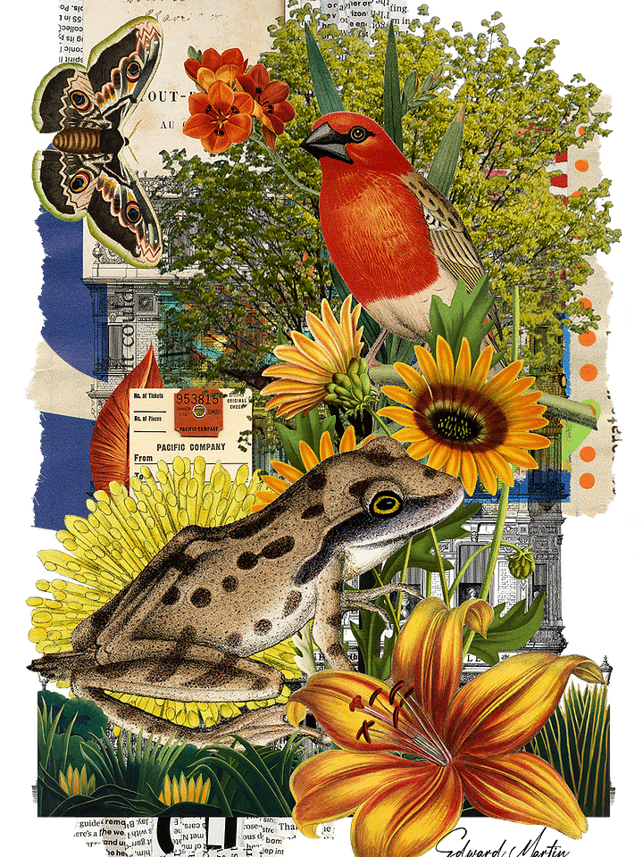 'Nature Collage No. 879' by Edward Martin-Vibrant Matte Poster Print product image (1)