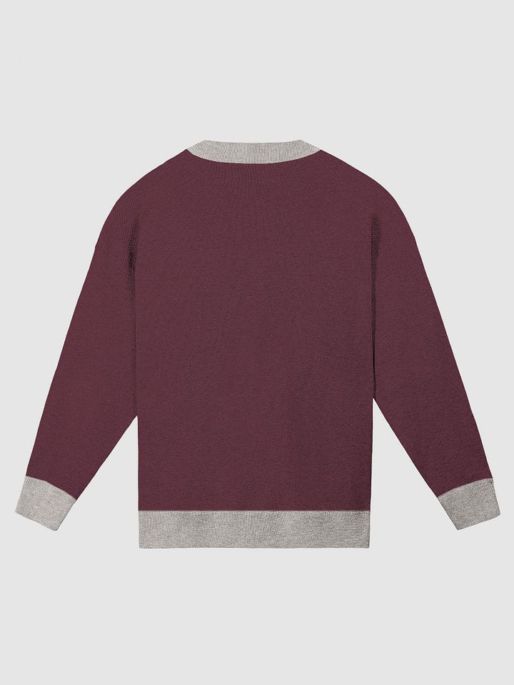 Writer Sweater in Burgundy and Sand product image (2)