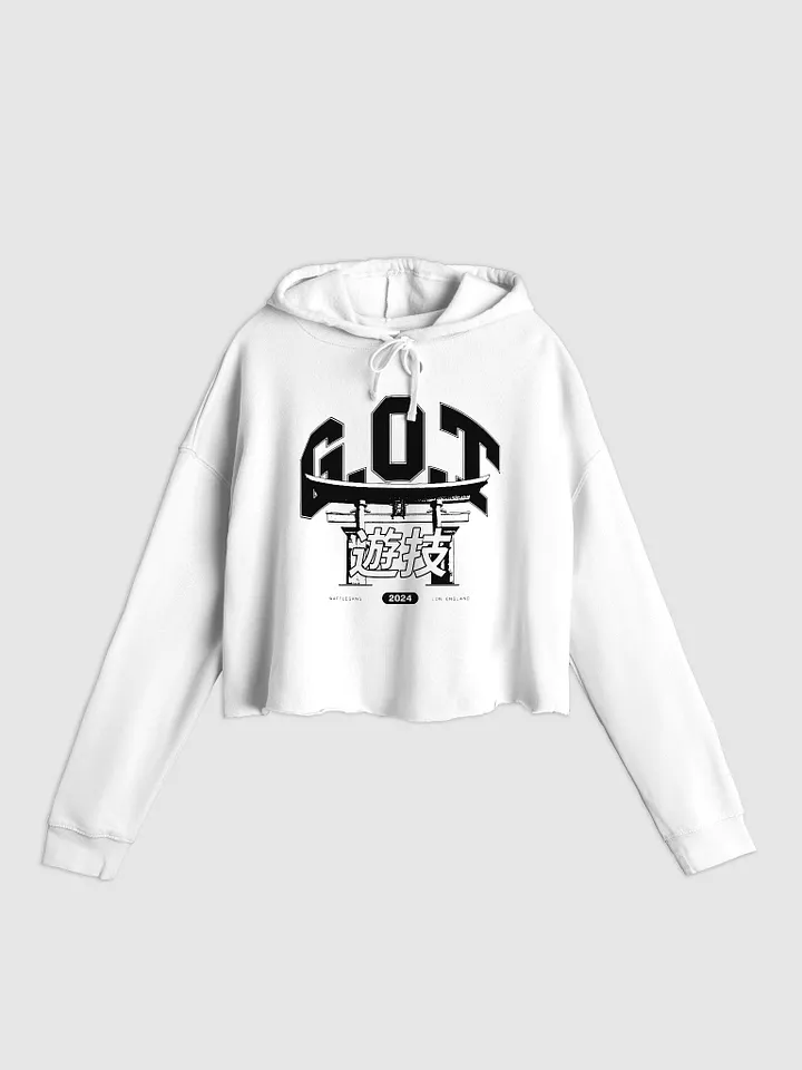 G.O.T CROPPED VARSITY HOODIE product image (9)