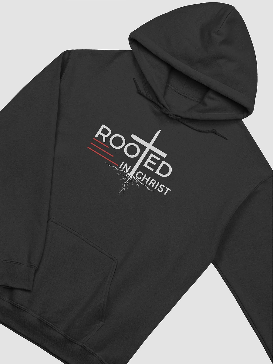 Rooted in Christ - Colossians 2:7 Unisex Hoodie product image (7)