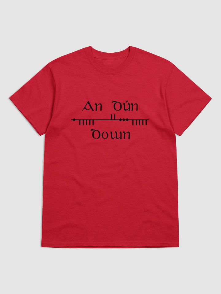 Down/An Dún Scholastic style Ogham Red Printed T-shirt product image (1)