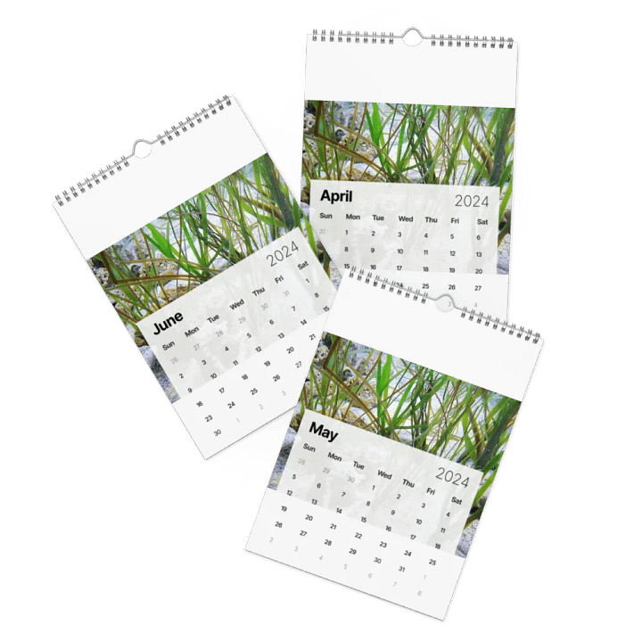 new years product image (2)