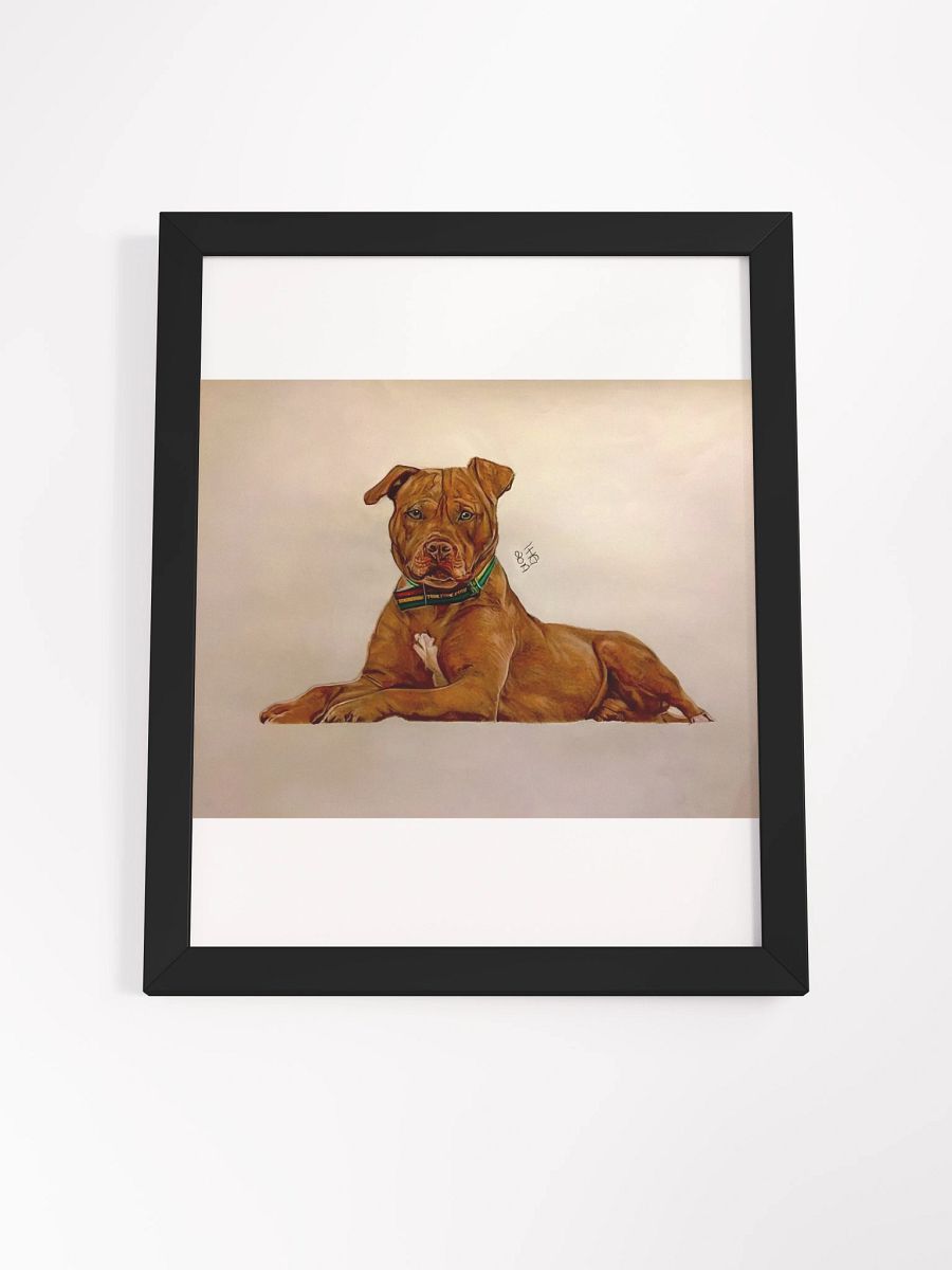 Pitbull Colored Pencil Drawing Framed Print product image (13)