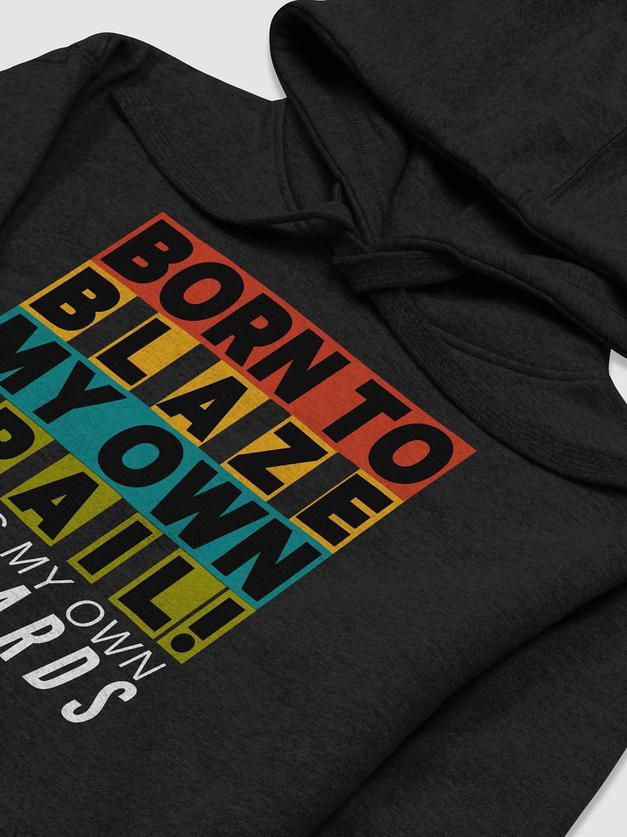 BLAZING MY OWN TRAIL HOODIE product image (14)