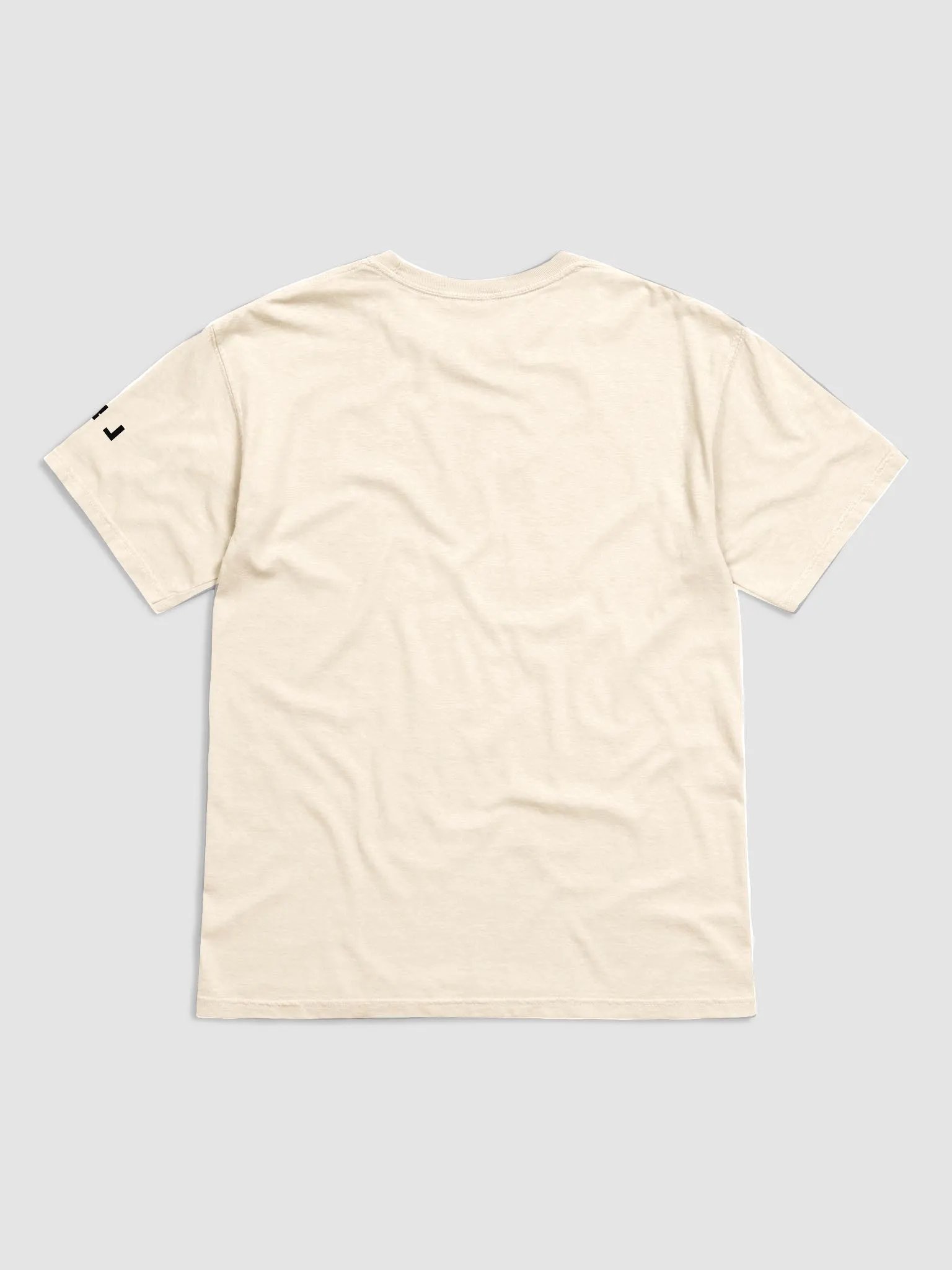 Single Use Pickaxes T-Shirt product image (2)