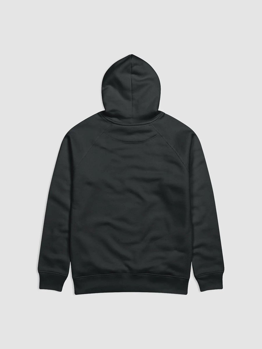 pro hoodie product image (2)