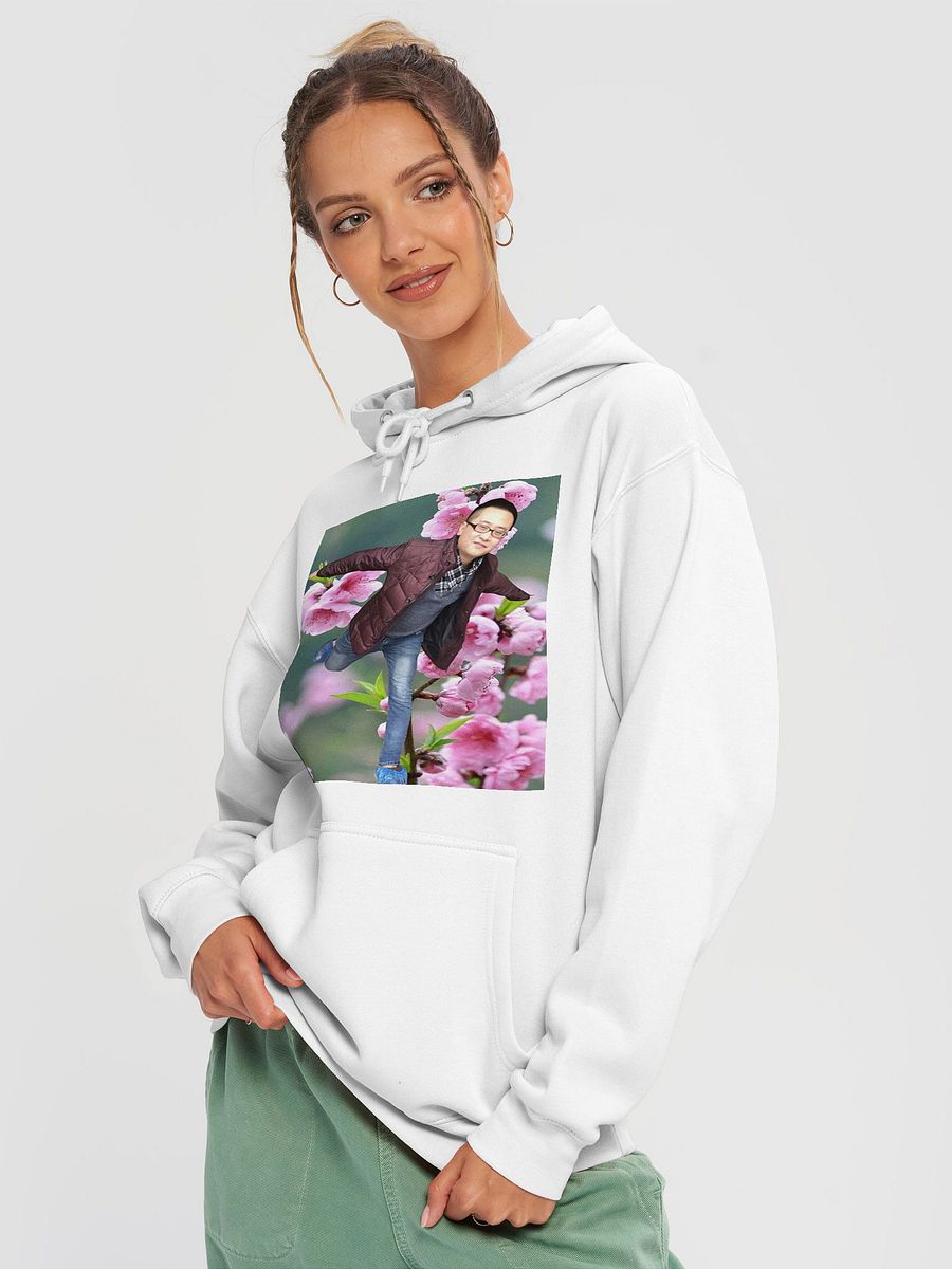 Lane Seven Premium Pullover Hoodie: fly product image (22)
