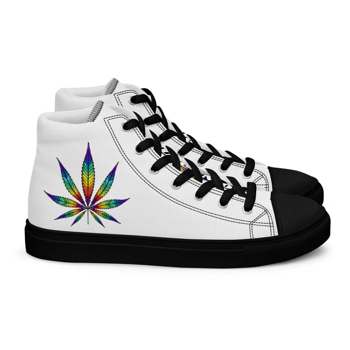 rainbow pot mens shoes product image (2)