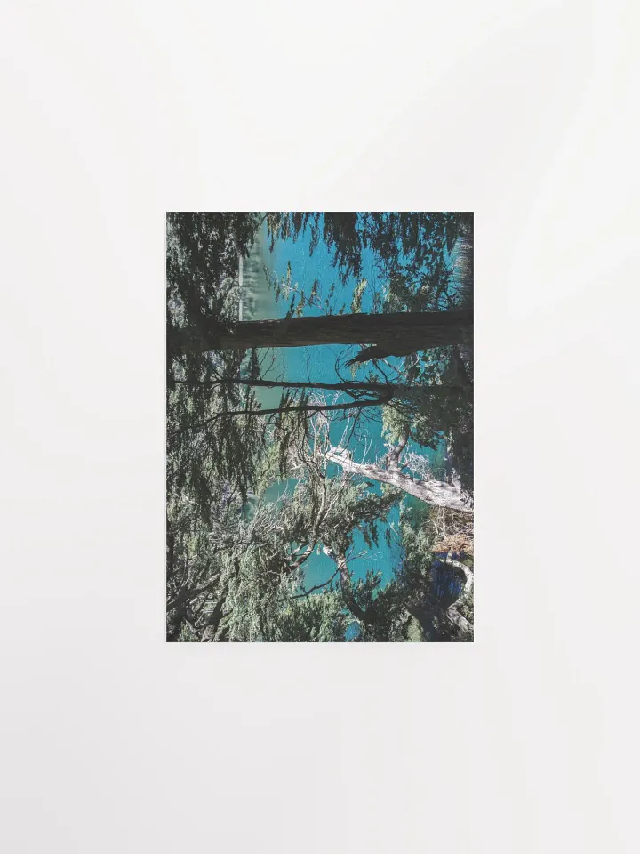 Lago Espejo Patagonia - Enhanced Matte Paper Poster product image (2)