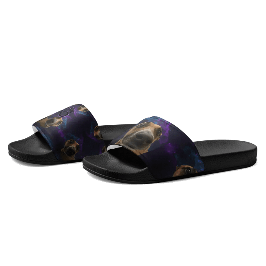 The Ruka Steppers product image (6)