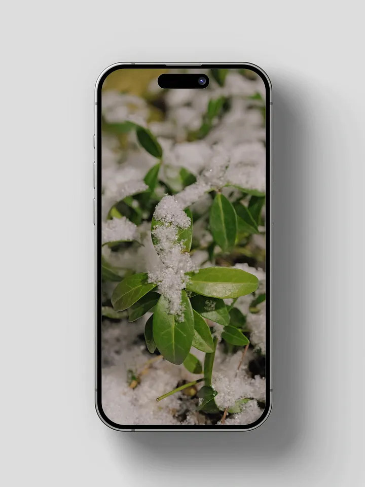Let It Snow Wallpaper Pack product image (2)