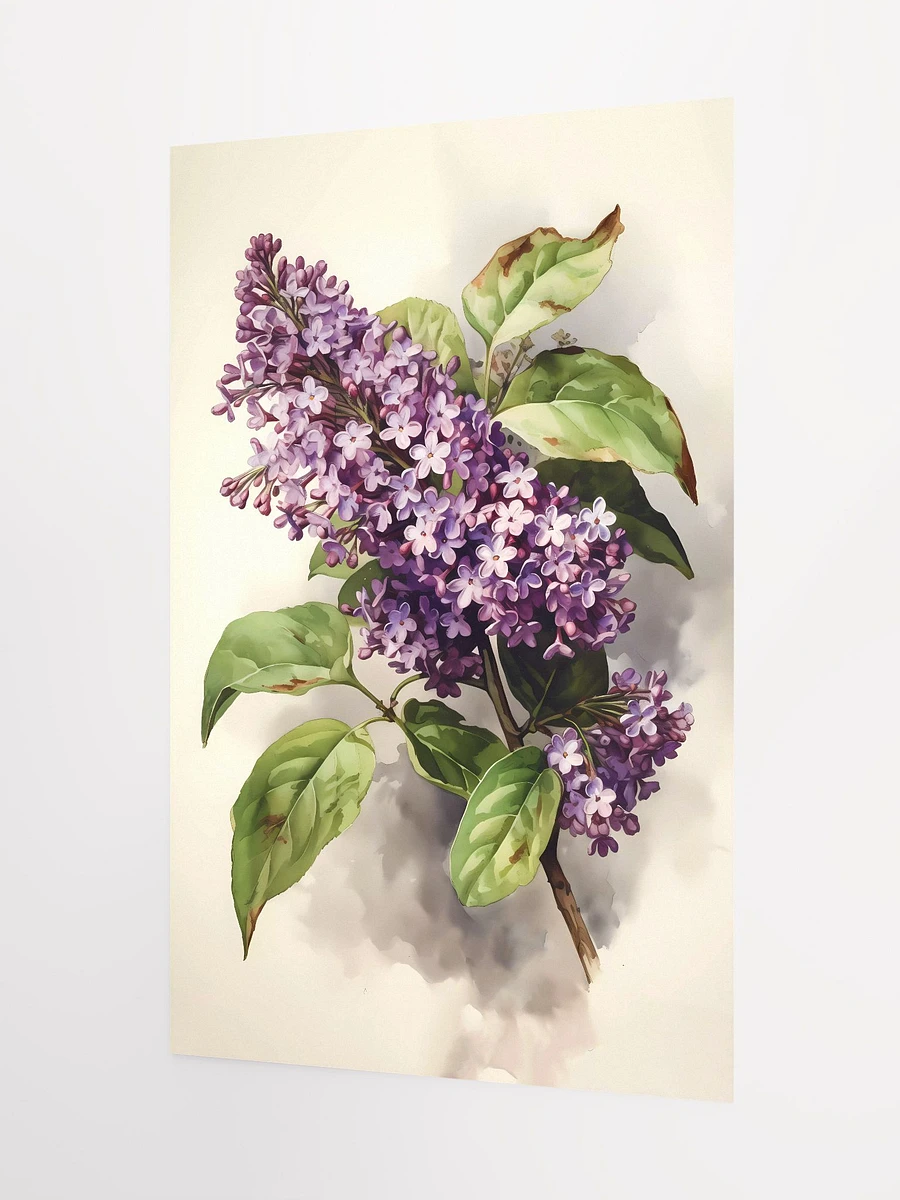 Springtime Lilac Bloom Poster: Classic Botanical Art for Nature-Inspired Decor Matte Poster product image (5)