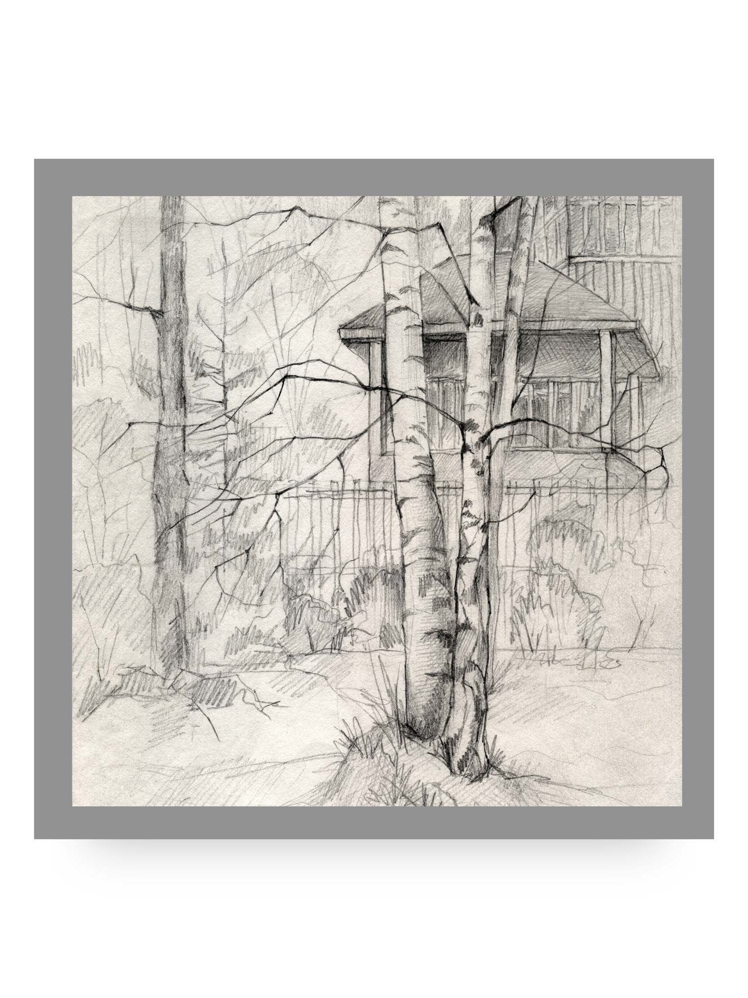 Blank Canvas: Unleash Your Artistic Vision - Dacha and Trees product image (11)