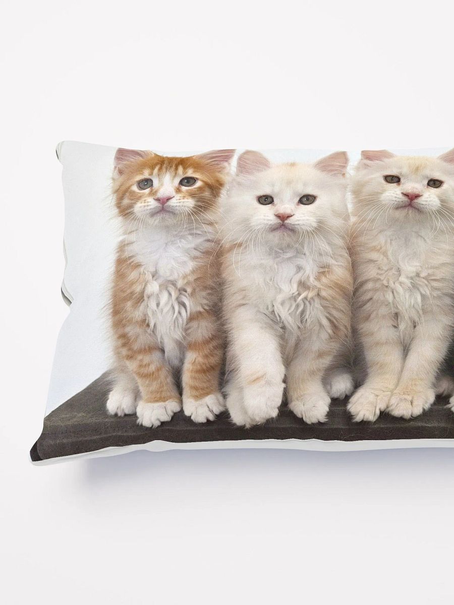 Ada's Kittens - Pillow product image (3)