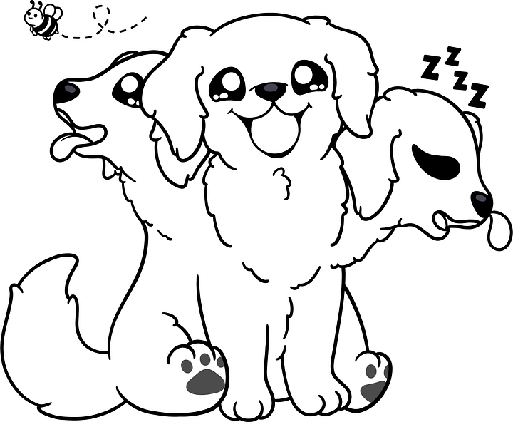 Legends and Librarians Coloring Book product image (1)