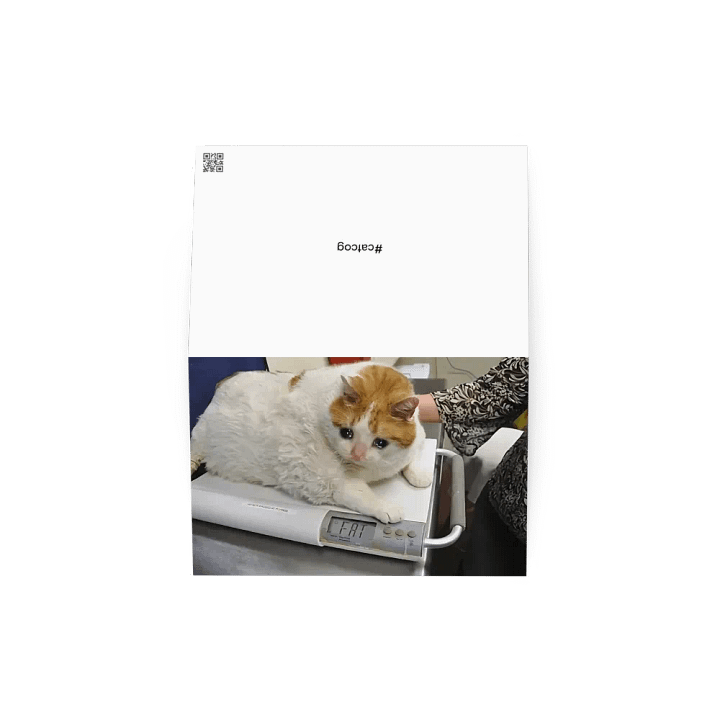 Greeting Card: Meme Cats product image (1)