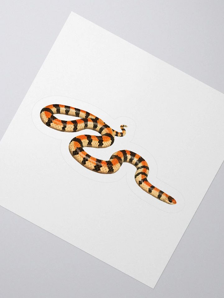 Die-Cut Sticker – Western Groundsnake (Banded) product image (2)