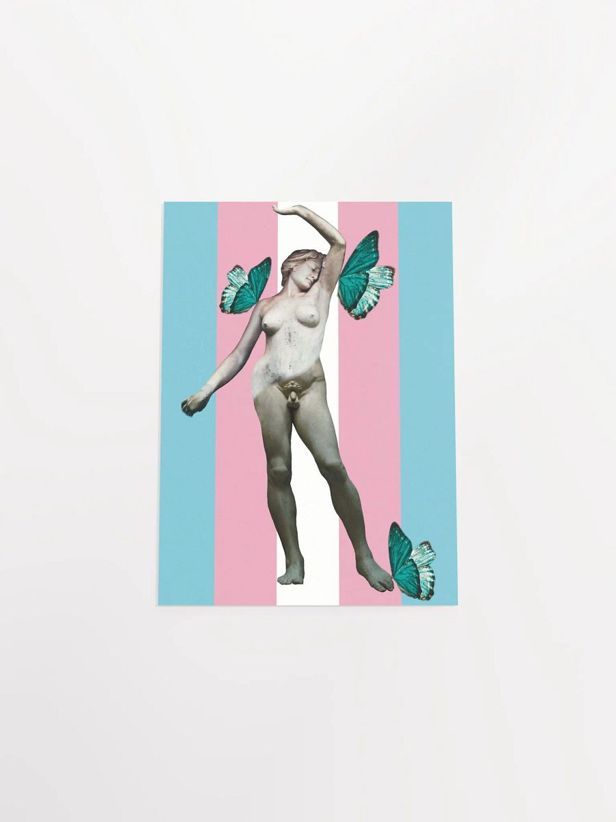 Trans Butterfly Poster product image (4)