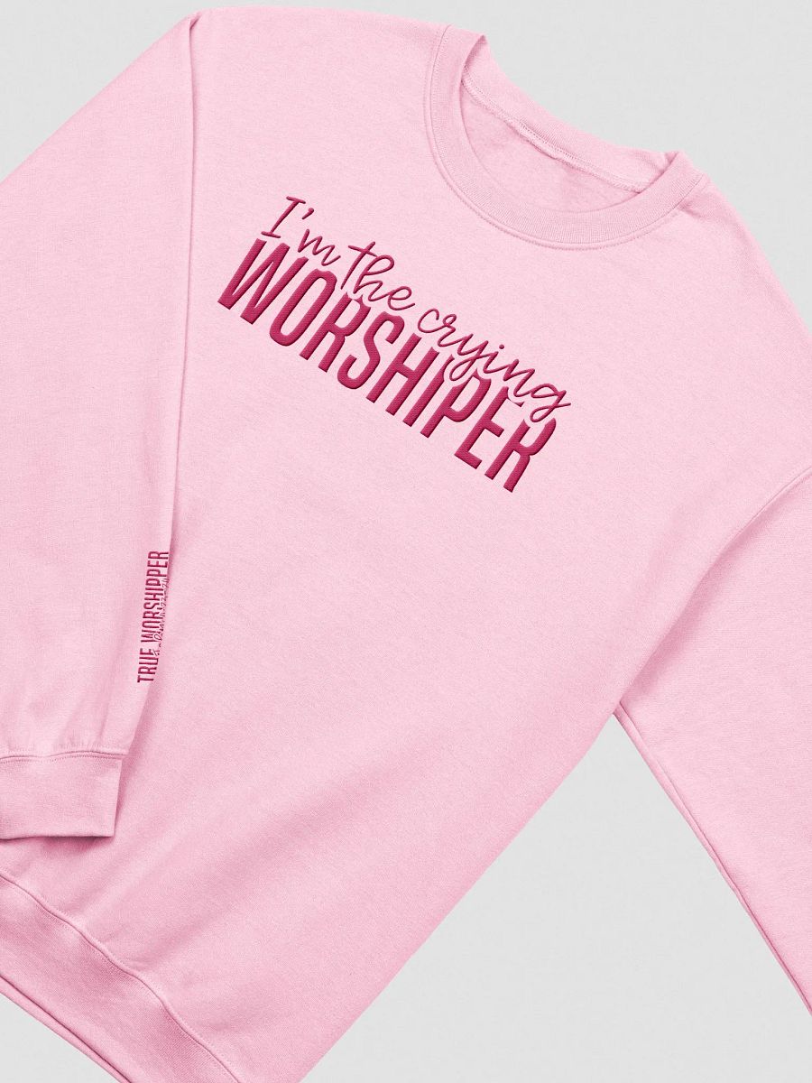 I'm the Crying Worshipper Embroidered Sweatshirt | Light Colors product image (3)