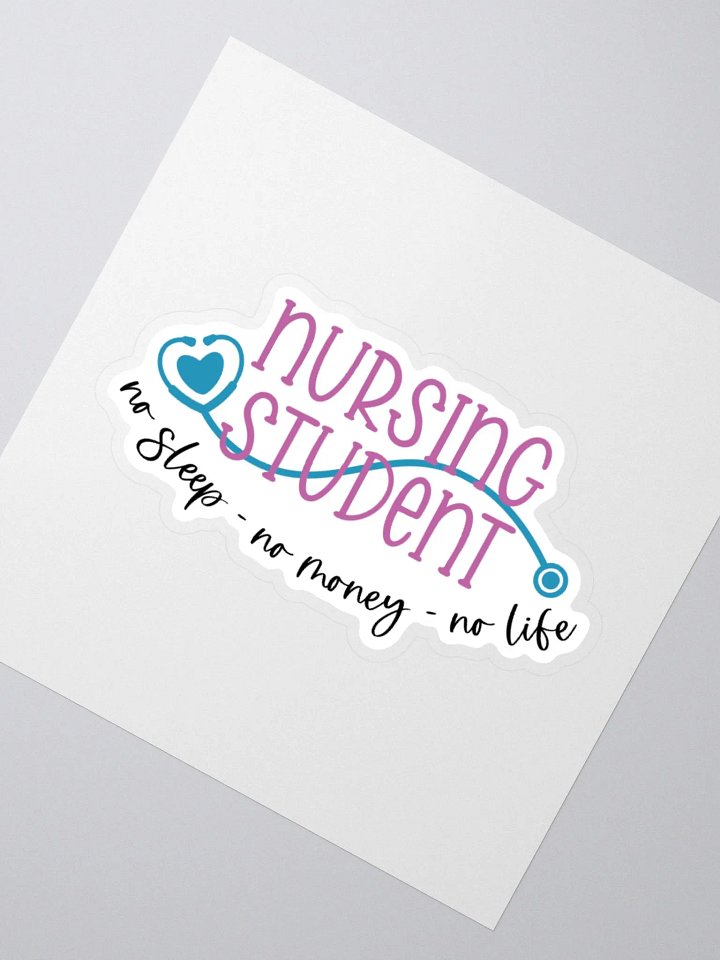 No Sleep, No Money, No Life Sticker product image (4)