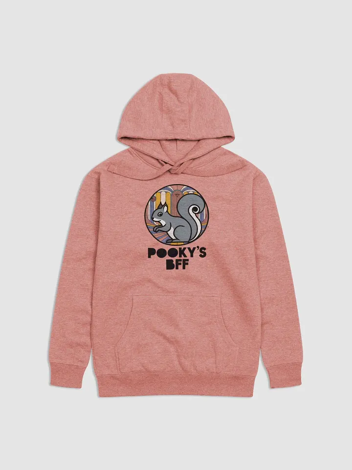 Super Soft Hoodie: Pooky's BFF, Art Deco, Grey Squirrel in Circle product image (1)