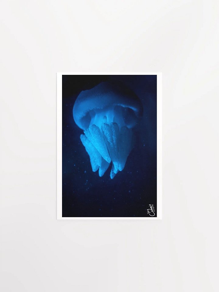 Shipwreak - Print product image (1)