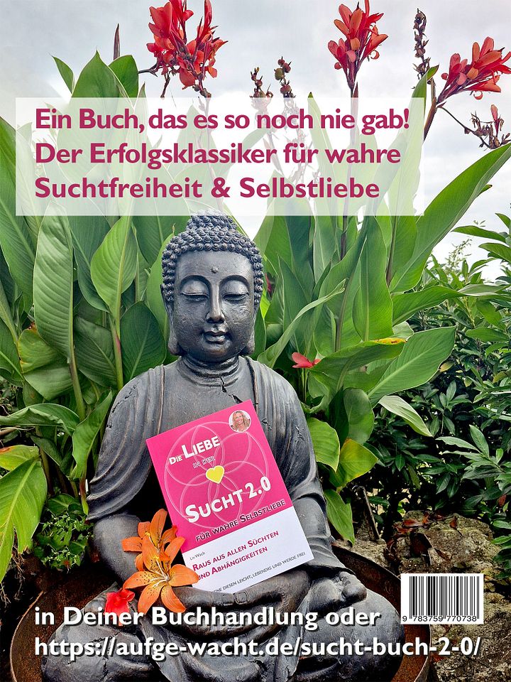 Raus aus allen Süchten und Abhängigkeiten – für wahre Selbstliebe product image (1)