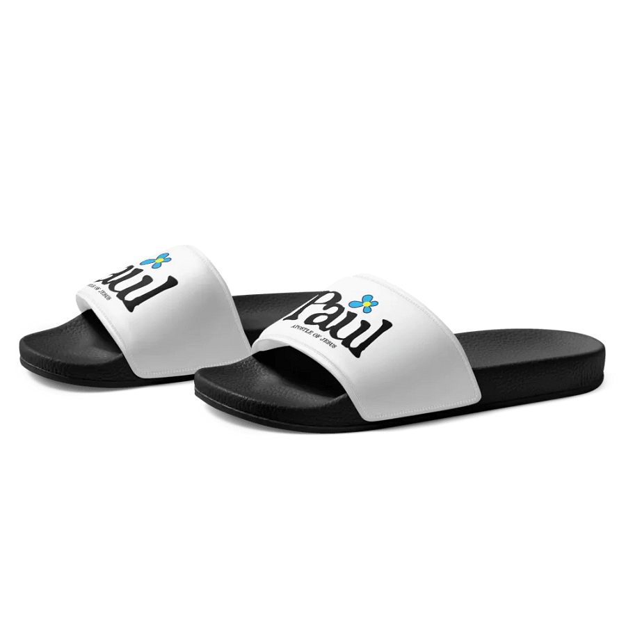Paul Blue Flower Charity Slides product image (3)