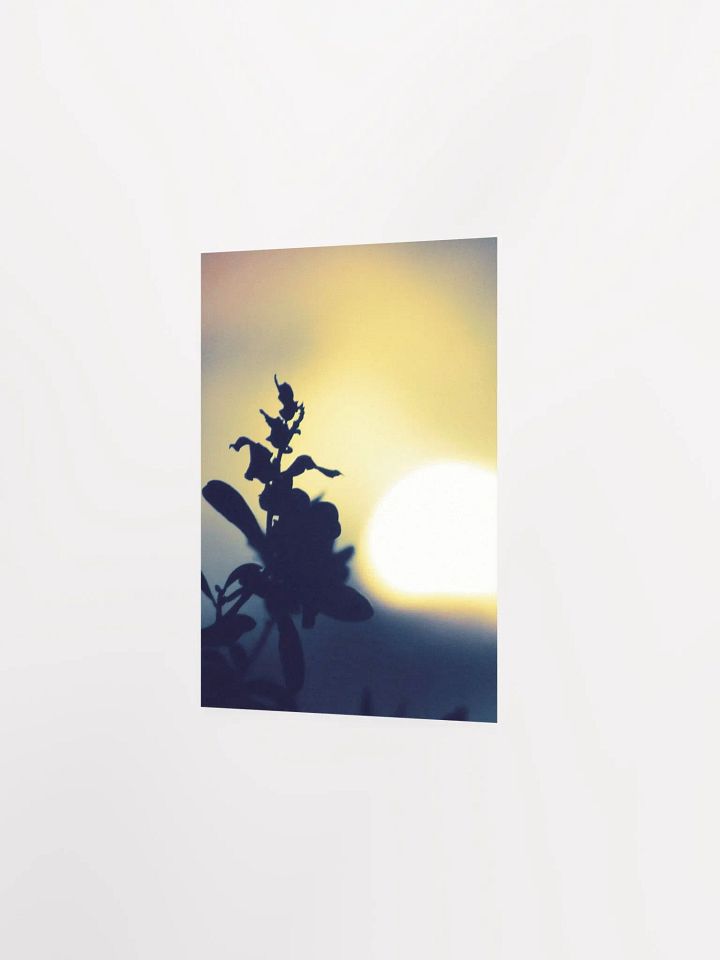 Yellow Plant Glow product image (24)
