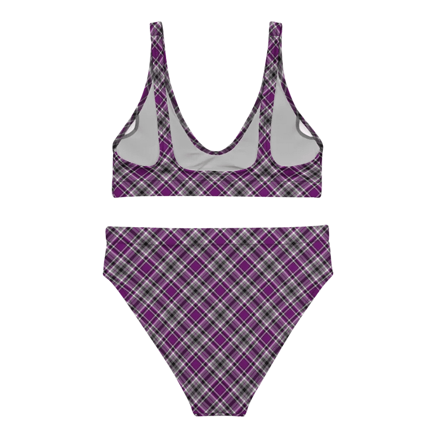 Purple, Gray, and Black Plaid Bikini product image (4)